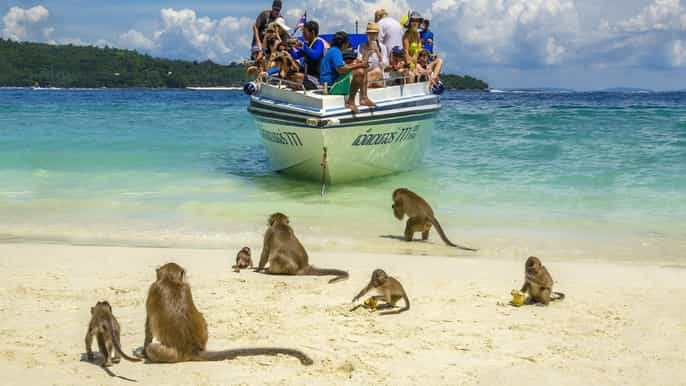 from phuket and khao lak early riser phi phi island tour