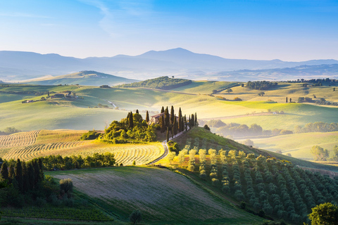 Florence: Val d&#039;Orcia Private Chauffeur-Driven TourPrivate Tour in Spanish