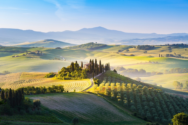 Florence: Val d'Orcia privérondleiding met chauffeurPrivétour in het Spaans