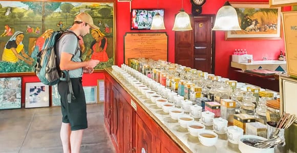Von Colombo aus: Handungoda, Galle, Ahangama, & Kosgoda Tour