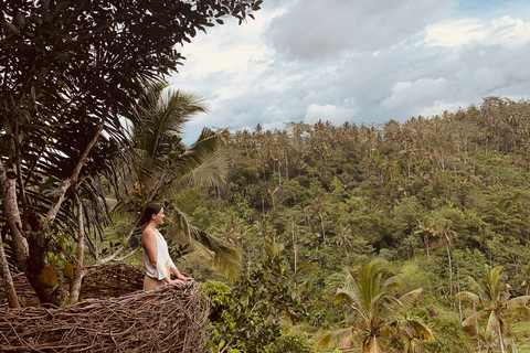 Bali: Balanço com cachoeiras, terraço de arroz e opção de floresta de macacosExcursão fotográfica de balanço na selva e terraço de arroz Tegalalang