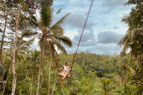 Bali: Balanço com cachoeiras, terraço de arroz e opção de floresta de macacosExcursão fotográfica de balanço na selva e terraço de arroz Tegalalang