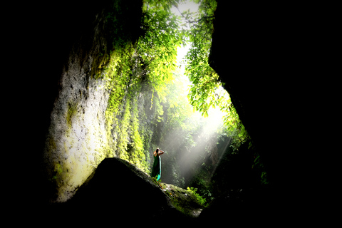 Ubud : journée accrobranche dans la jungleAccrobranche dans la jungle uniquement