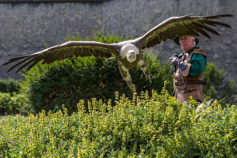 Werfen: Hohenwerfen Castle Entrance TicketGeneral Admission Ticket with Funicular Ride