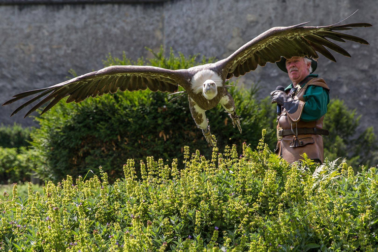 Werfen: Hohenwerfen Castle Entrance TicketGeneral Admission Ticket with Funicular Ride