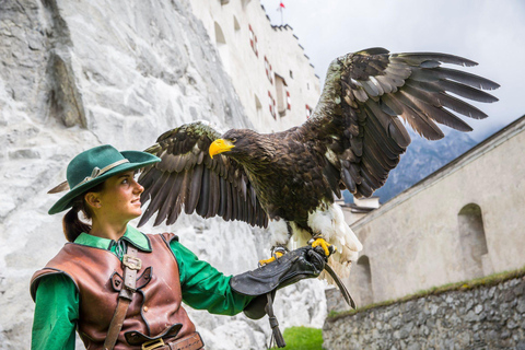 Werfen: Hohenwerfen Castle Entrance TicketGeneral Admission Ticket with Funicular Ride