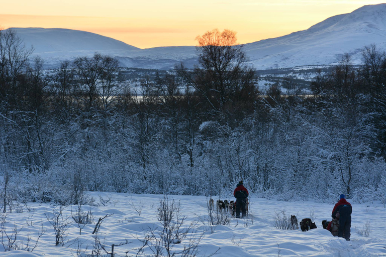 Tromsø: Självkörande hundspannäventyr med HuskyTromsø: Kör ett eget hundspann med huskyhundar