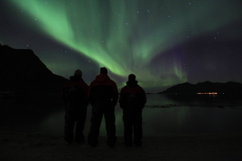 Tromsø : Chasse aux aurores boréales en petit groupeTromsø : à la poursuite des aurores boréales en petit groupe