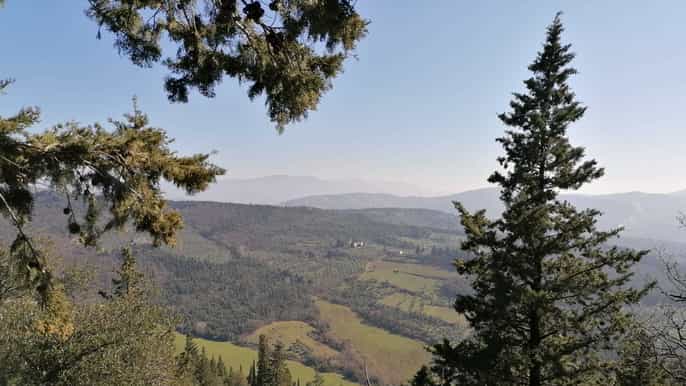 from florence fullday chianti and fiesole hike