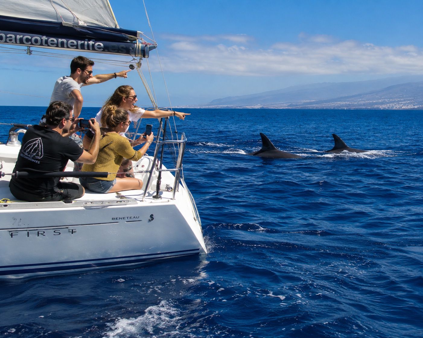 Los Cristianos: Traumhafter Segeltörn in kleiner Gruppe mit Essen, Getränken und Schwimmen