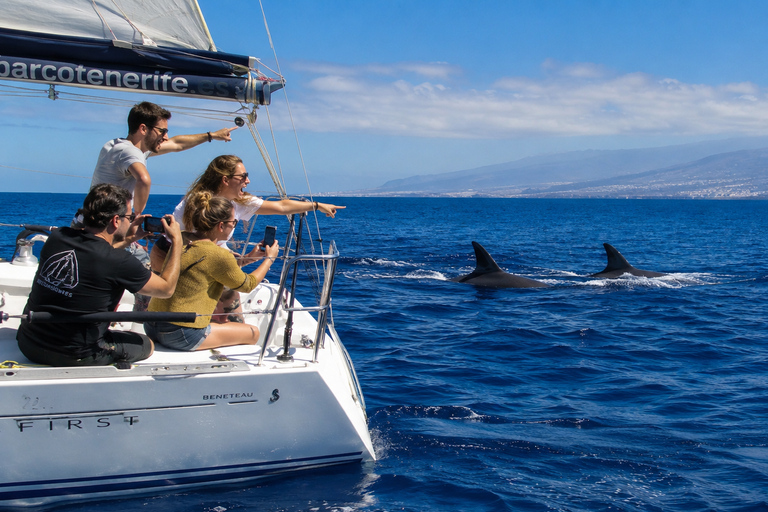 Los Cristianos: Dreamy Small-Group Sailing Trip with Food, Drinks & a Swim Los Cristianos: Soñador Small-Group Sailing Trip with Food, Drinks & a Swim