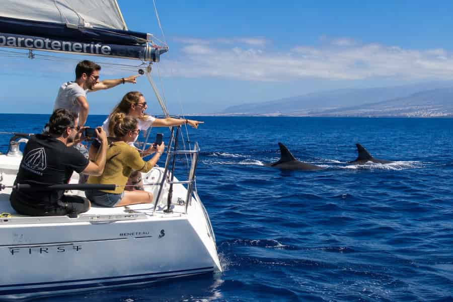 Los Cristianos: Traumhafter Segeltörn in kleiner Gruppe mit Essen, Getränken und Schwimmen. Foto: GetYourGuide Los Cristianos: Traumhafter Segeltörn in kleiner Gruppe mit Essen, Getränken und Schwimmen. Foto: GetYourGuide