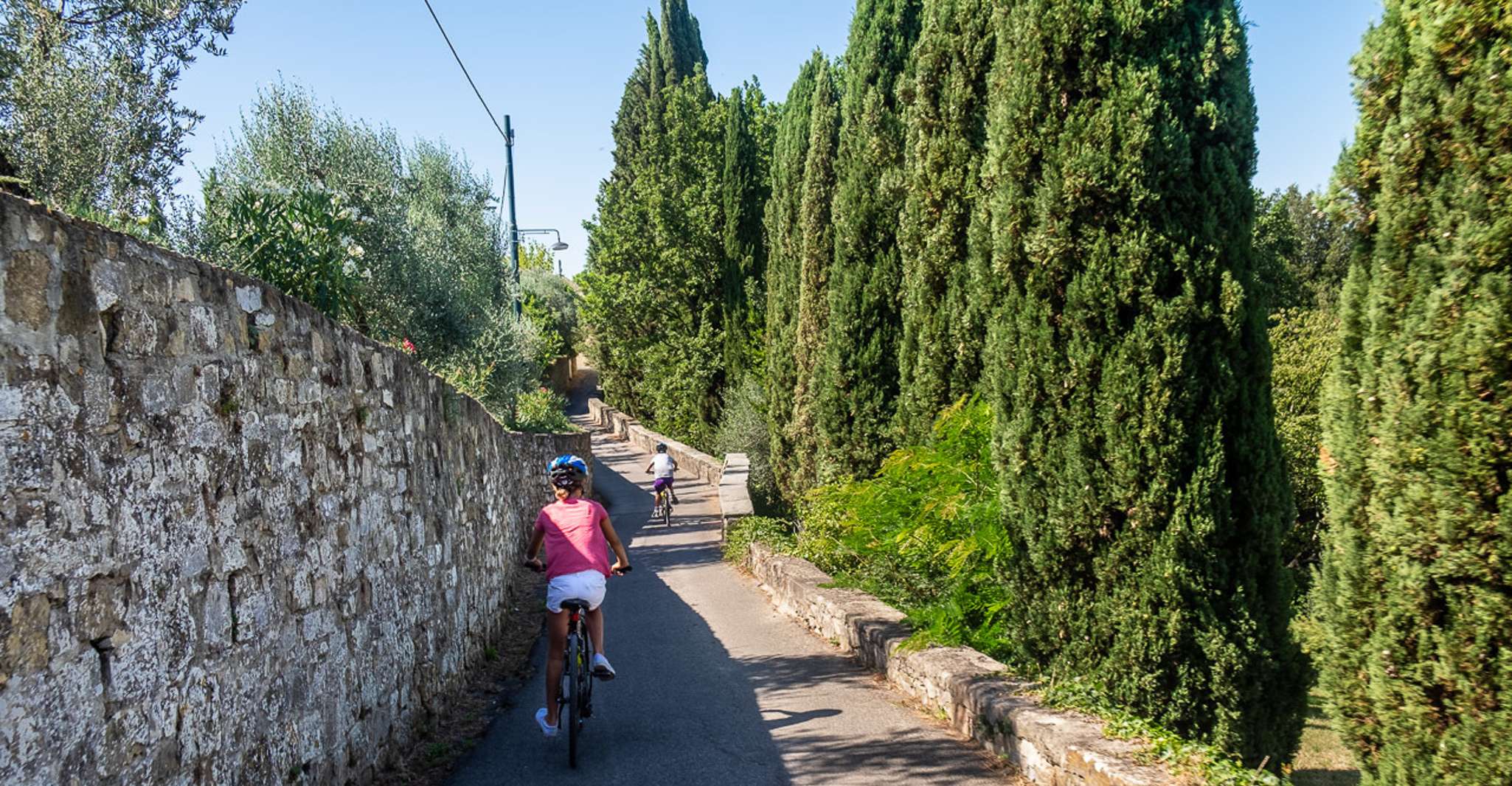 Florence: Tuscany Bike Tour with Wine & Olive Oil photo 10