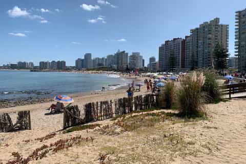 From Montevideo: Punta del Este Full-Day Tour