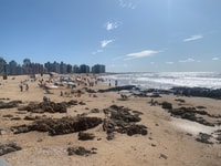 Van Montevideo, Punta del Este Full-Day Tour - Housity