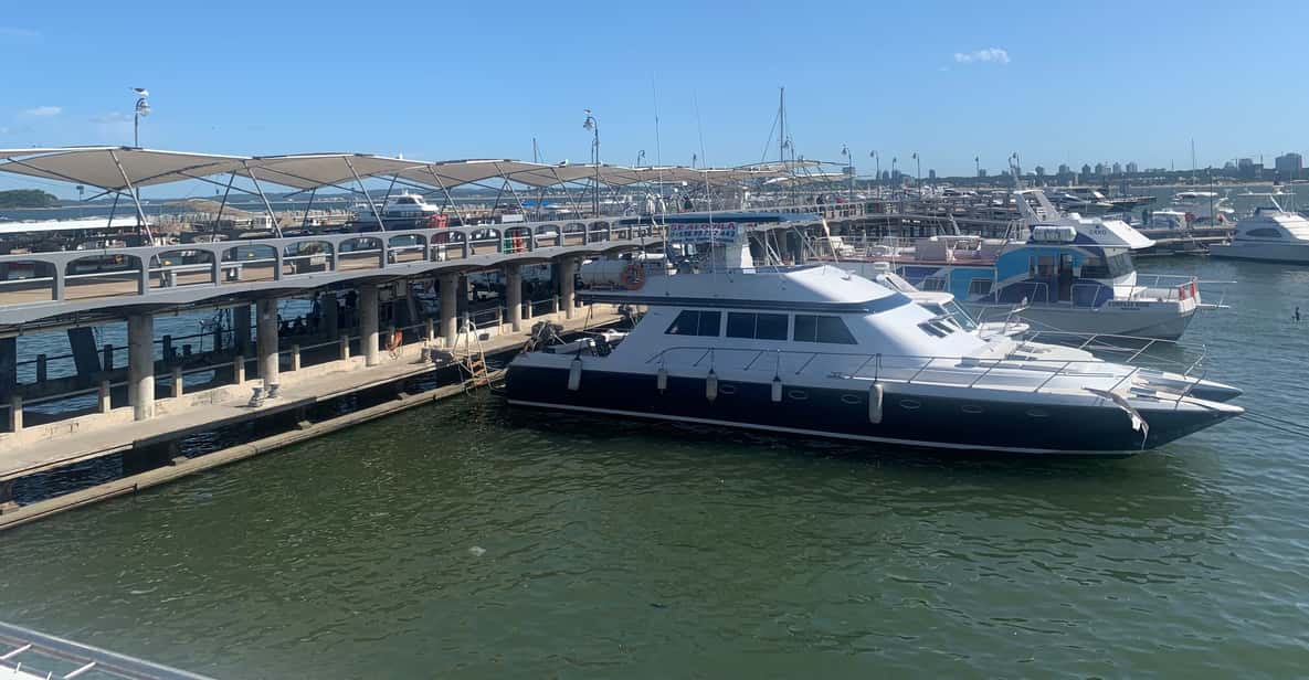 From Montevideo: Punta del Este Full-Day Tour