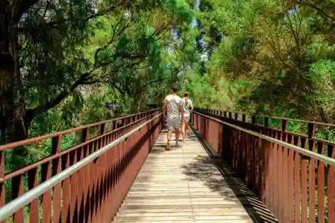 Perth Caminata guiada por Kings Park Botanicals & Beyond