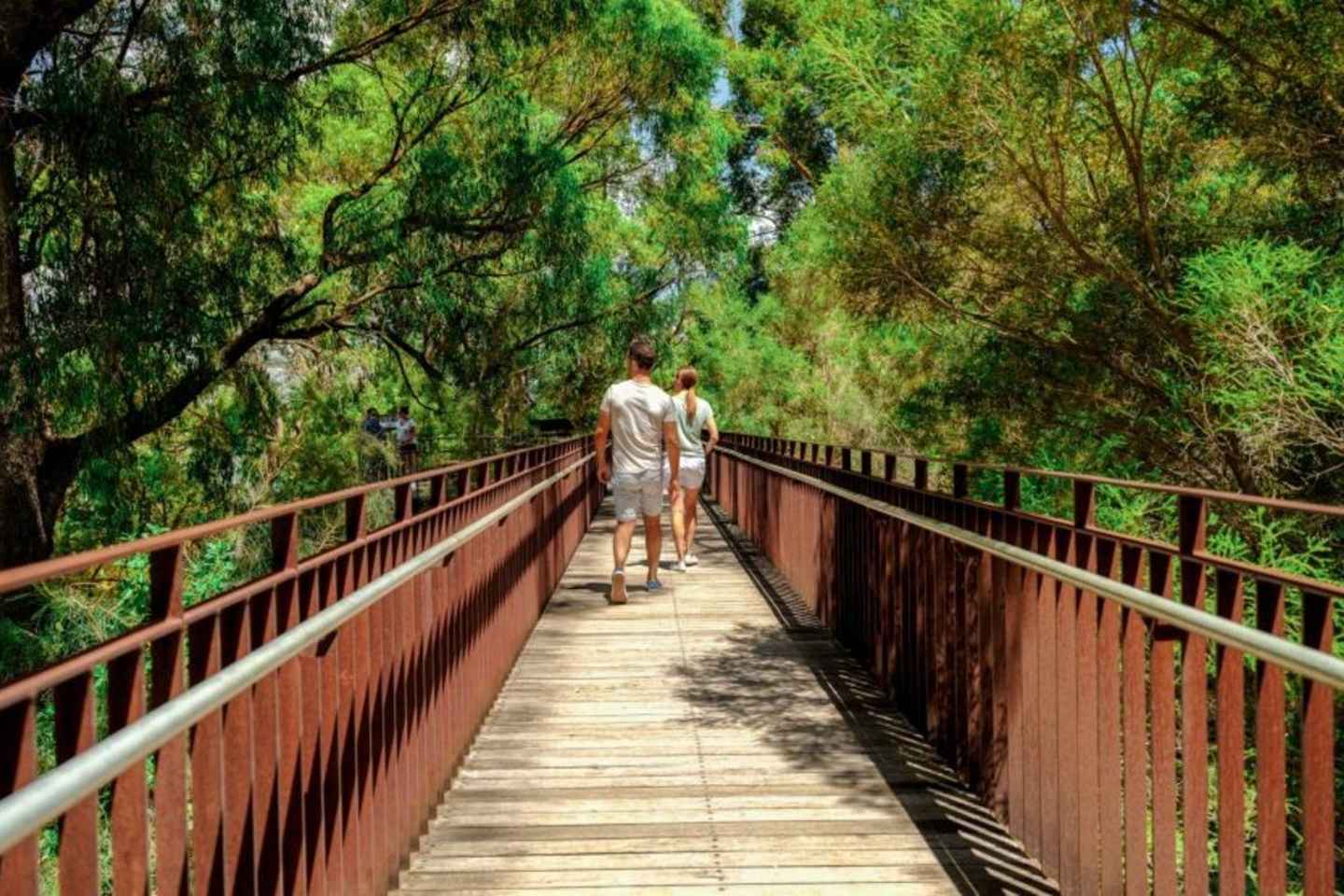 Perth: Kings Park Botanicals & Beyond Guided Hike - Perth: Kings Park Botanicals & Beyond Guided Hike