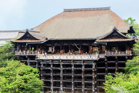 Tokyo: City Full-Day Private Scenic Tour With English Guide