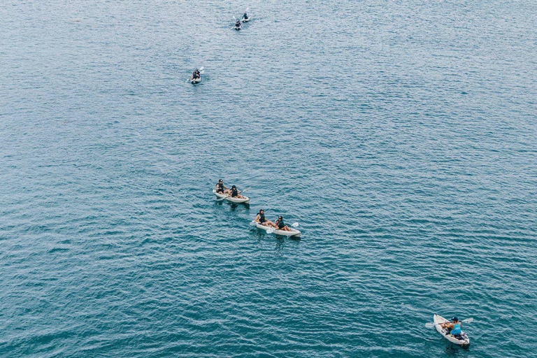 Parc sous-marin de La Jolla : excursion en kayak et en tubaExcursion en kayak et plongée en apnée en double kayak