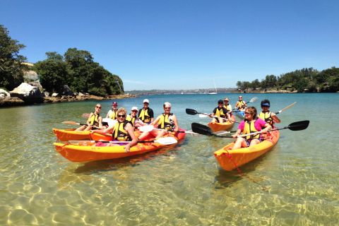 Manly: 3-Beach Kayak Tour with Lunch