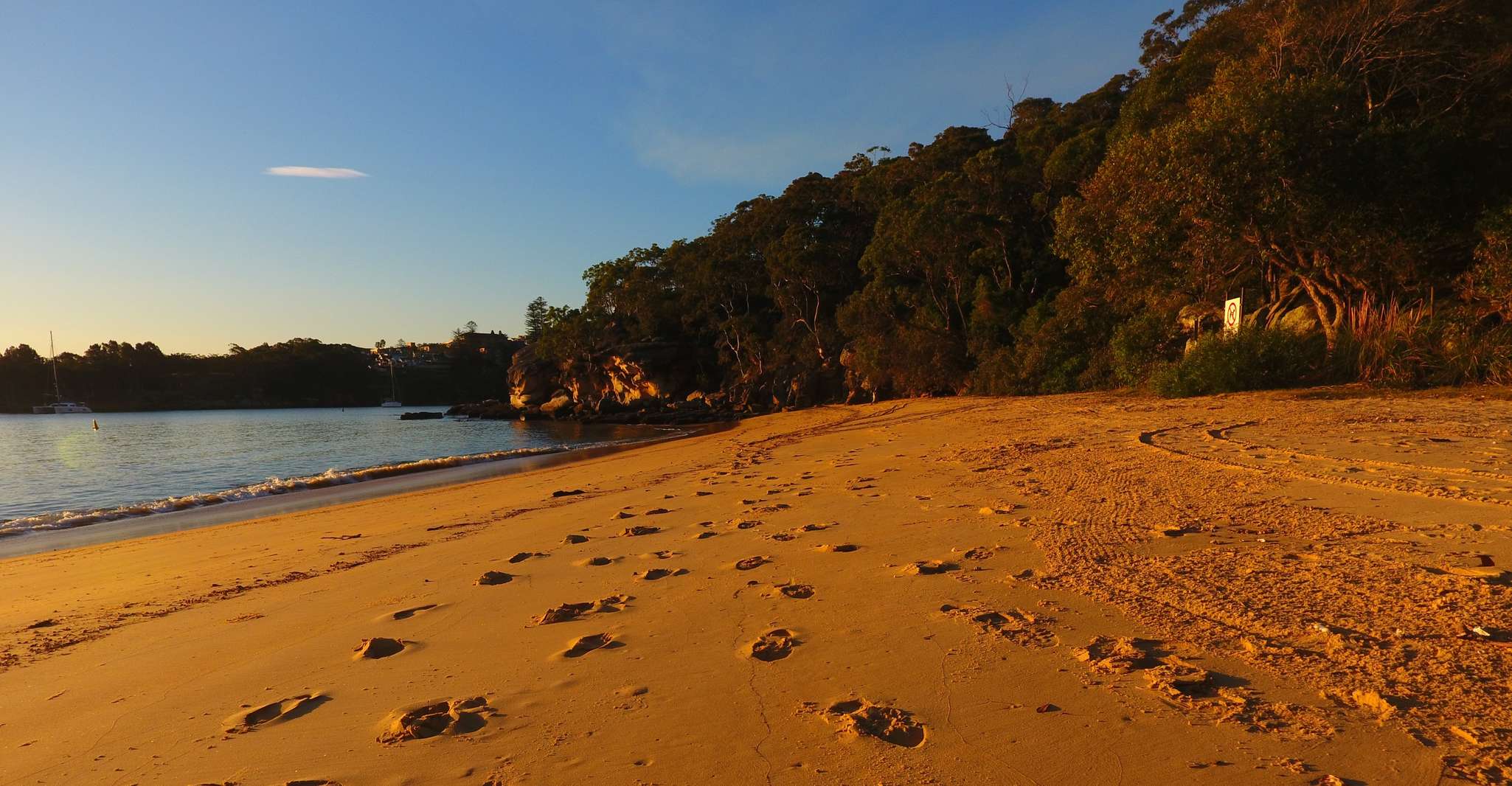 Manly, 3 Spiaggia Kayak Tour con pranzo - Hizvo