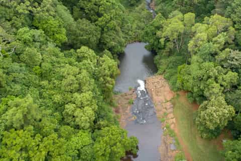 Sunshine Coast: Hinterland Tour with Snacks and Drinks