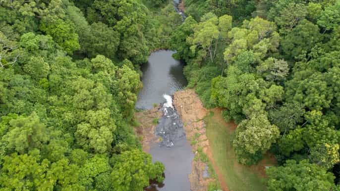 sunshine coast hinterland tour med snacks og drikke