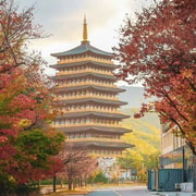 From Busan: Gyeongju Custom Private Day Tour with Pickup