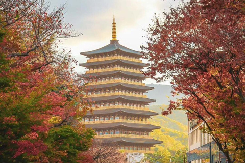 From Busan: Gyeongju Custom Private Day Tour with Pickup