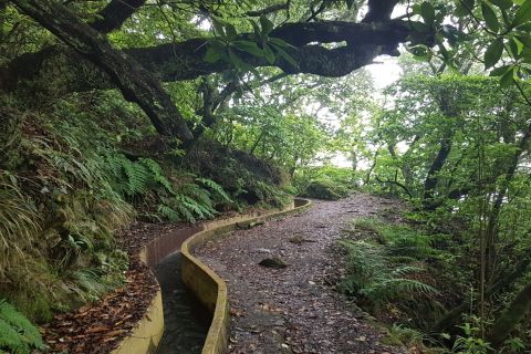 Madeira: Santo da Serra to Ribeiro Frio Private Walk