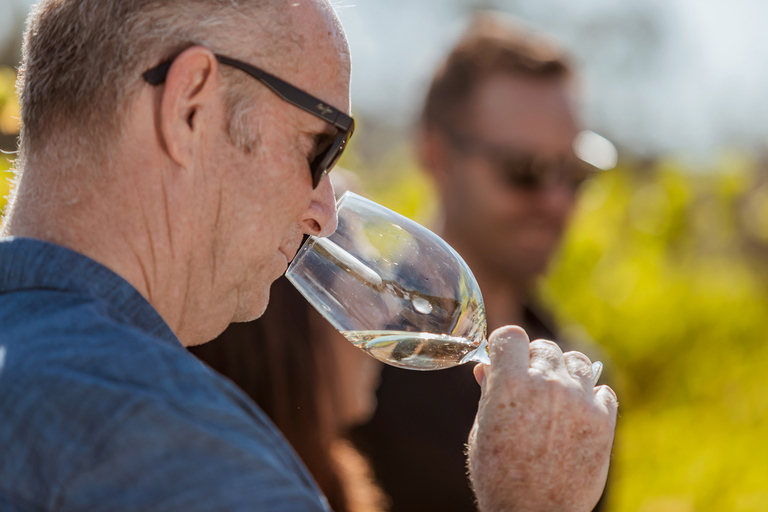 Swan Valley: Semi-Private Wine Lovers Tour from Perth Full Day tour from Perth or Guildford