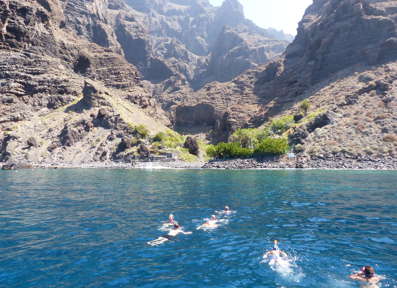 Tenerife: Los Gigantes hvalsafari med sejlbåd