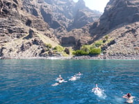 Tenerife, Los Gigantes Walbeobachtungs-Kreuzfahrt mit dem Segelboot - Hizvo