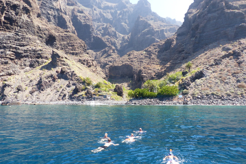 Los Gigantes: Whale Watching per Segelboot mit AbholungAktivität ohne Hotelabholung