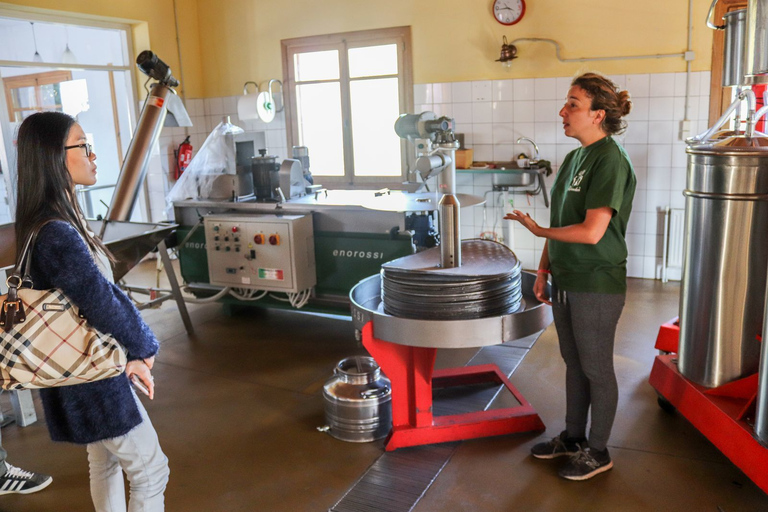 Région d'Héraklion: visite des secrets de l'huile d'olive et de la dégustation de vins