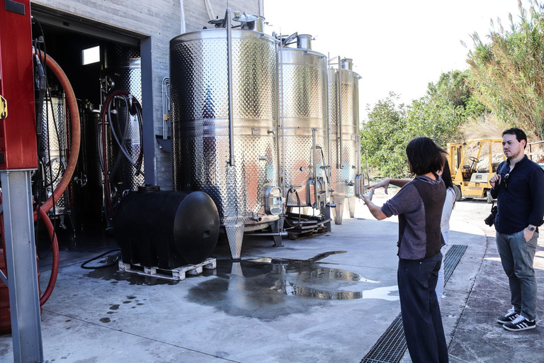 Région d'Héraklion: visite des secrets de l'huile d'olive et de la dégustation de vins