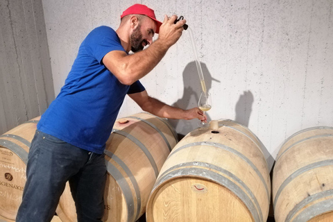 Région d'Héraklion: visite des secrets de l'huile d'olive et de la dégustation de vins