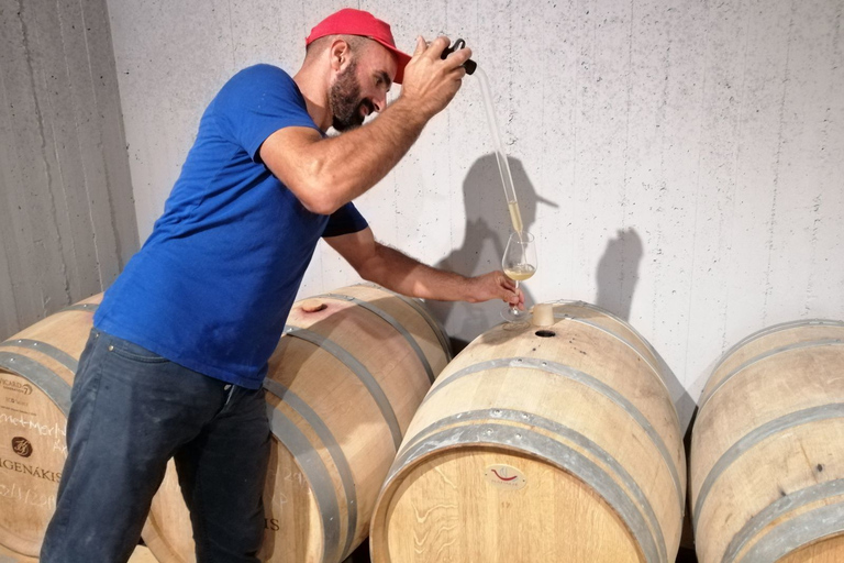 Région d'Héraklion: visite des secrets de l'huile d'olive et de la dégustation de vins