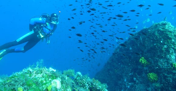 Krk: Entdeckungstauchgang vom Boot aus