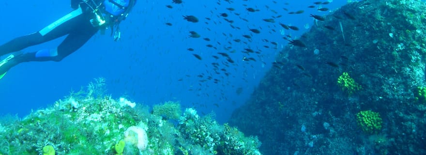 Krk : Découverte de la plongée sous-marine depuis le bateau