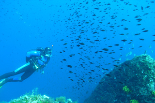 Krk: Discovery scuba dive from the boat