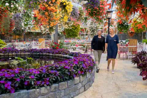 Orchid Farm and Giethoorn: Full-Day Tour