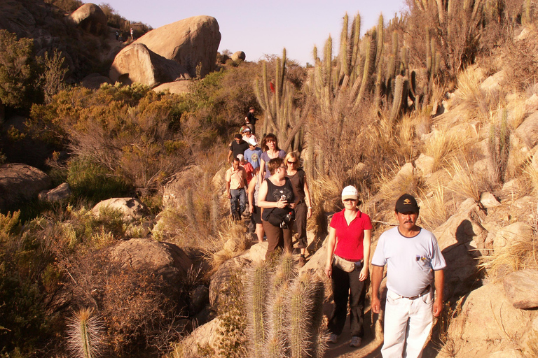 Chile: Das verzauberte Tal der atlantischen Schamanen Zeremonienstätte