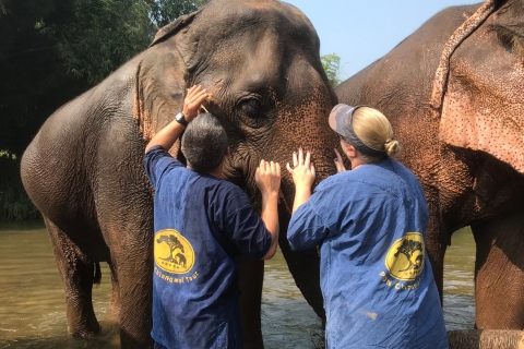 Chiang Mai: Elephant Sanctuary en Sticky Waterfall TourTour met kleine groepen met hotelovername