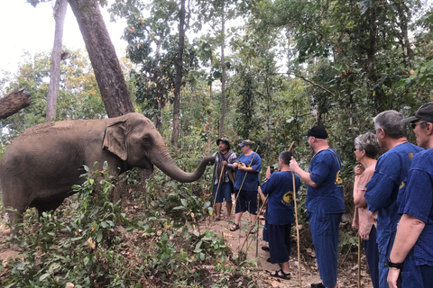 Chiang Mai: Elefantreservat, Long Neck &amp; Sticky WaterfallPrivat tur med upphämtning från hotell