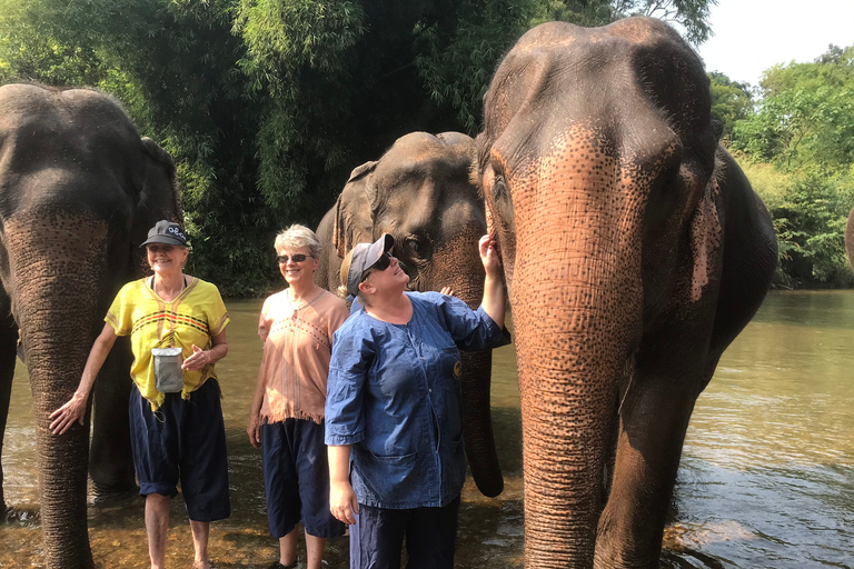 Chiang Mai: Elephant Sanctuary, Long Neck & Sticky Waterfall Private Tour With Hotel Pickup