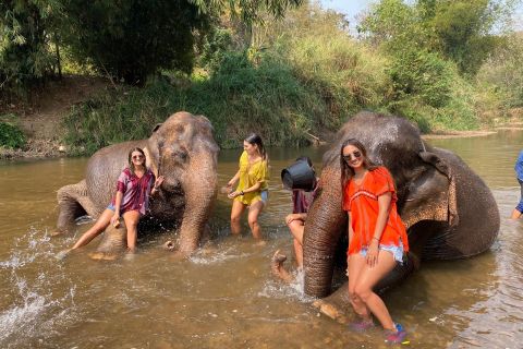 Chiang Mai: tour privato del Santuario degli elefanti e delle cascate