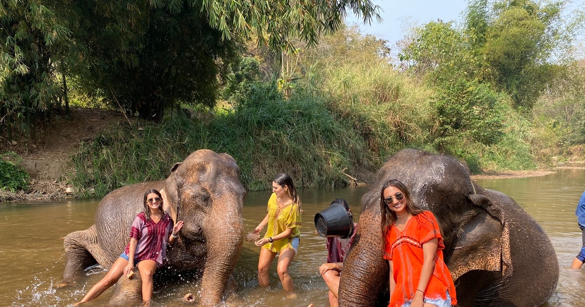 Chiang Mai: Elephant Sanctuary and Sticky Waterfall Tour | GetYourGuide
