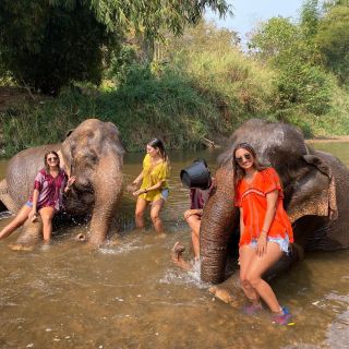 Chiang Mai: Santuario privado de elefantes y Cascada Pegajosa